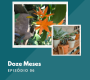 Doze Meses – Episódio 06